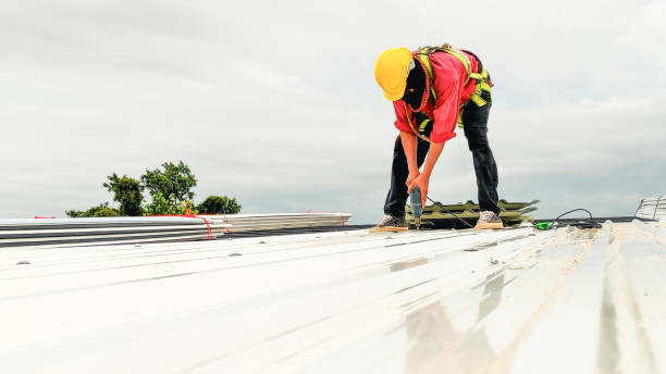 Best Asphalt Shingle Roofing  in Lumberton, TX